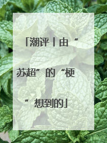 潮评丨由“苏超”的“梗”想到的
